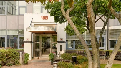 Lokaler med hög takhöjd